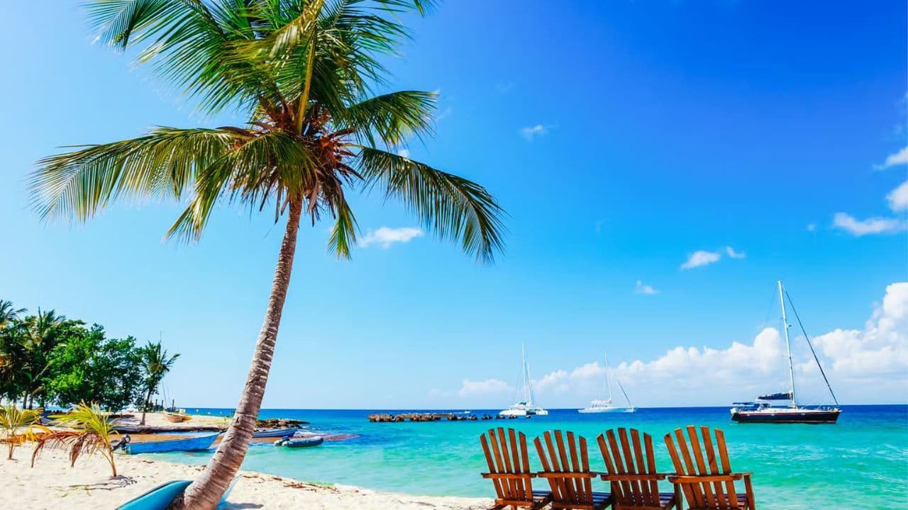 Explore Saona Island: Catamaran Tour from Punta Cana â Guided tour and outdoor activity