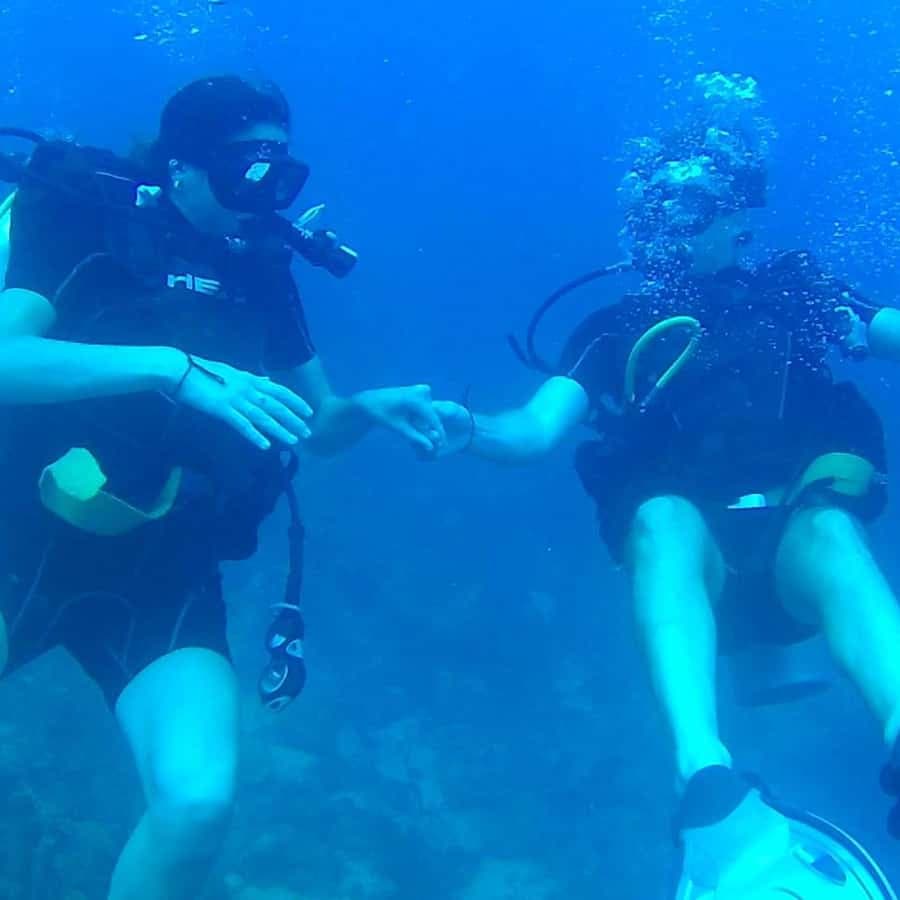 Scuba Diving in Catalina Island â Guided tour and outdoor activity