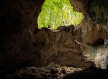 Sabana de la Mar: Los Haitises National Park Day Trip Free â Guided tour and outdoor activity