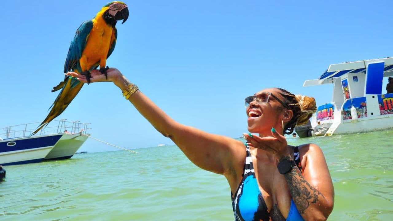 PARTY BOAT WITH OPEN BAR CATAMARAN CRUISE PUNTA CANA â Guided tour and outdoor activity