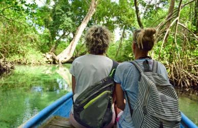 Los Haitises: Caves, Mangroves, & Rainforest Hike/Boat Tour ā Guided tour and outdoor activity