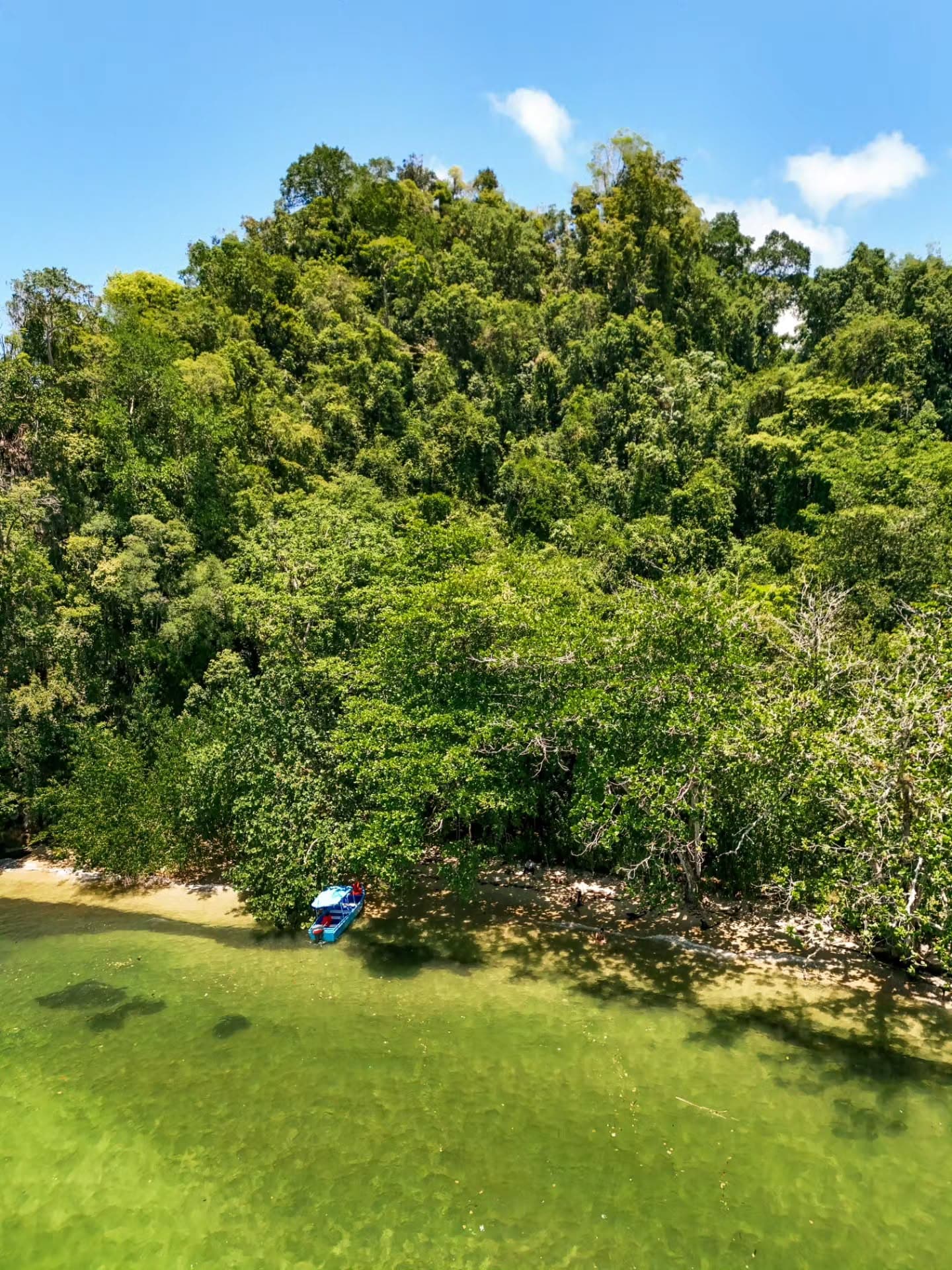 From Punta Cana: Los Haitises and Redonda Mountain Day Trip â Guided tour and outdoor activity
