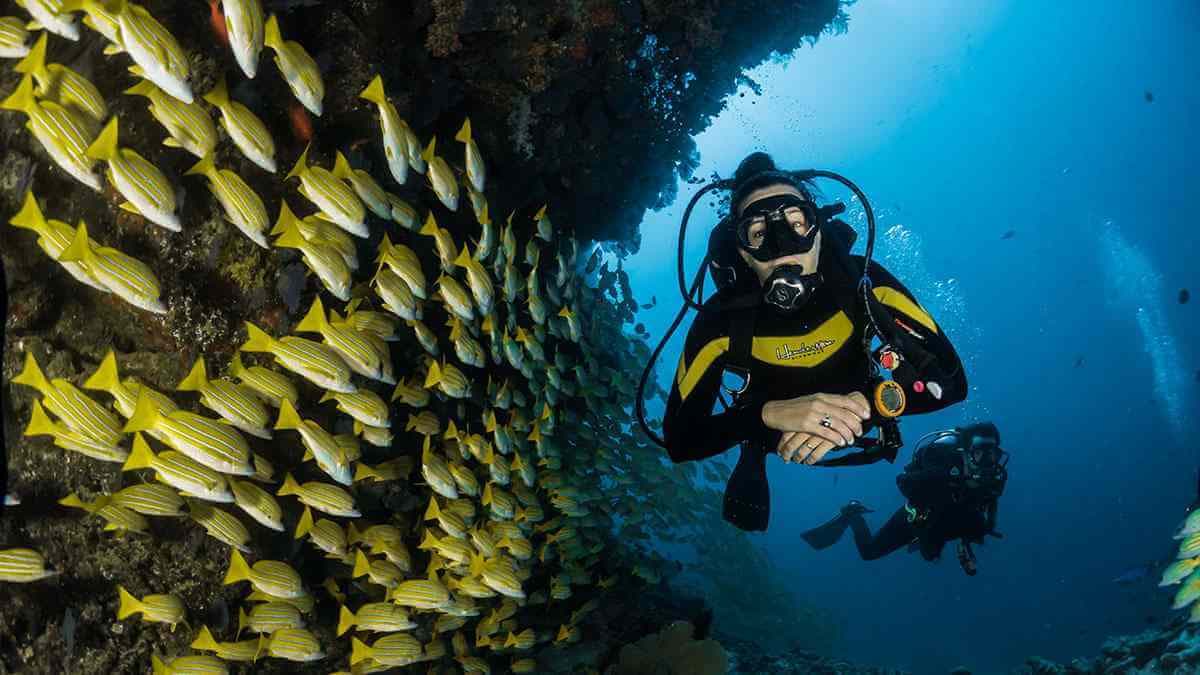Bayahibe - Cenotes Scuba Diving ā Guided tour and outdoor activity